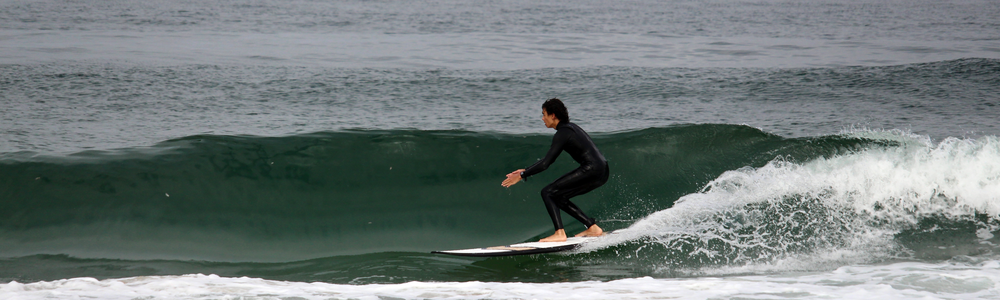 Pro Series Surfboards